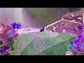 Carl Sagan Video preview