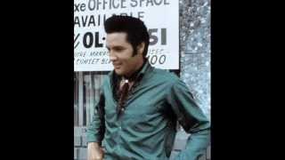 Watch Elvis Presley Too Much Monkey Business video