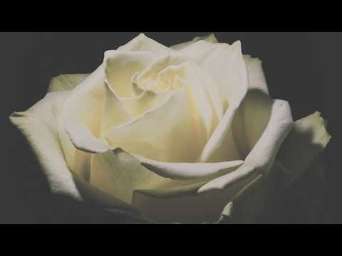 Heavy On My Heart Video