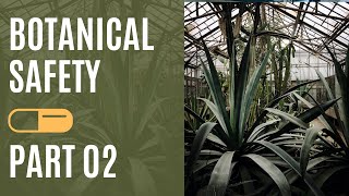 EP-02 Ensuring Botanical Safety - Tradition and Science: Dr Robin J Marles