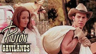 Pasion De Gavilanes - Ruth Muestra Interes Por Oscar