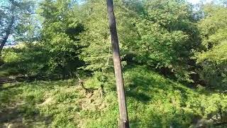 Tebiet Gozeliyi Satatus