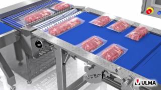 Automating the feeding of a belt vacuum chamber