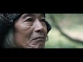 Animal Video preview