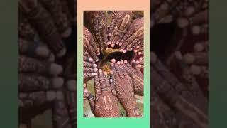 Beautiful Mehndi Desaing Short,S Viral Video Alam World