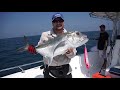 Jigging