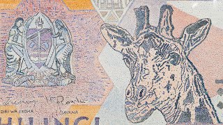 How The Tanzanian Shilling Connects Culture To The Living Landscape Of Africa
