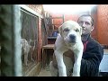 в накопление крови Ч-Юзбаша. Эти 