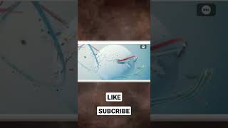 w_RFazFgywU Video Image