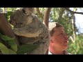 Koalas with Chlamydia - Earth Juice (Ep 24) - Earth Unplugged Koalas with Chlamydia - Earth Juice (Ep 24) - Earth Unplugged