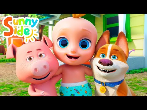 El Sonido de los Animales - Canciones infantiles para aprender los animales en Sunnyside