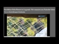 10. Juli 2014 - Nachrichten Ostukraine / Lage in Slavansk / Frauen kämpfen mit