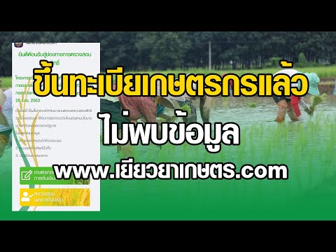 ขึ้นทะเบียนเกษตรกรแล้ว ไม่พบข้อมูล เยียวยาเกษตรกรรับเงิน 15,000 บาท