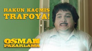 Rakun Kaçmış Trafoya | Osman Pazarlama