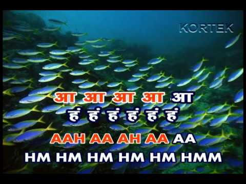 APNI TO JAISE TAISE