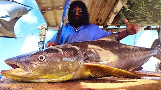 Huge Cobia Fish Cutting Skills