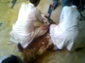 Goat Slaughtering