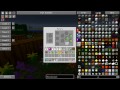 Minecraft - Ender Genome (S06 E118)