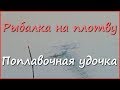 Ловля плотвы в сентябре. Поклёвки крупным планом. Поплавочная удочка. Ловля плотвы в сентябре. Поклёвки крупным планом. Поплавочная удочка.