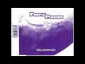 Purple Penguin - Mountain (Ratman remix)