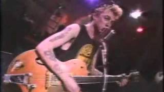 Watch Stray Cats Looking Out My Back Door video