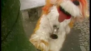 Big Bird In China The Monkey King Song