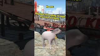 Dogmeat After Going Through My Stash Of Chems Be Like Funny Fallout 4 Memes