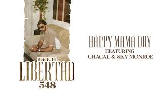 Watch Pitbull Happy Mama Day feat Chacal  Sky Monroe video