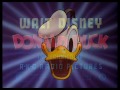 view Intro
