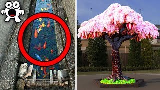 Photos Proving Japan Is Unlike Any Other Country In The World