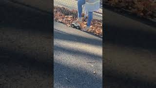 O Crushes Remote Control Car Pt. 1