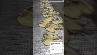 Countinous Fish Fryer