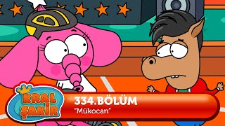 Kral Şakir 334. Bölüm - Mükocan