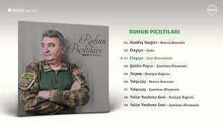 Şahin Musaoğlu Elegiya İfa Zaur Əmiraslanov