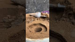 Make A Wuliangye Lid
