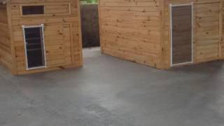 Toyuq Evi