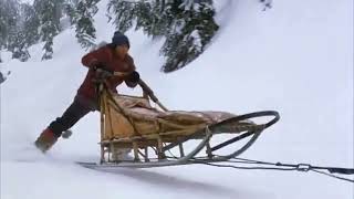 Snow Dogs Sled Dogs Chasing Fox