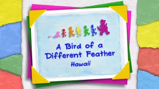 Barney & Friends - A Bird Of A Different Feather Hawaii Arabic