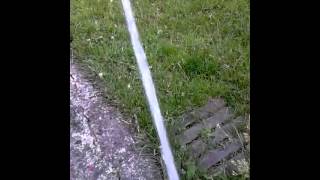 Coco Le Jagd Terrier Le Jet Deau...