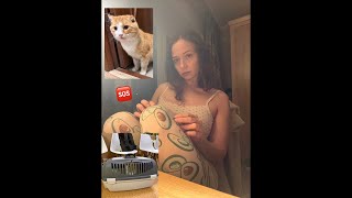 На Лечение Котику