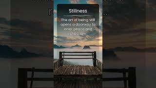 The Power Of Stillness Finding Peace In A Busy World.