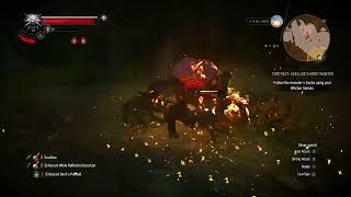 The Witcher 3 Wild Hunt - Killing A Arachas