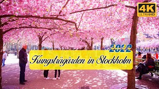 Kungsträgården in Stockholm 2022 4K| Spring in Sweden Volg| Travel to Sweden