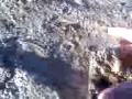 Foto pequena Smash My Motorola c261