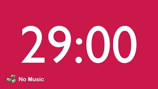 29 Minute Countdown Timer