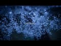 absolutely sleeping music - Water Bounce -