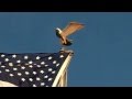 What Does a Painted Eagle Ornament Look Like After 10+ Years?