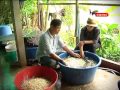 การเพาะถั่วงอก