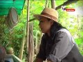 การเพาะถั่วงอก