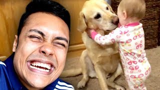 REACTING TO CUTE FUNNY DOG VIDEOS (TRY NOT TO SMILE)